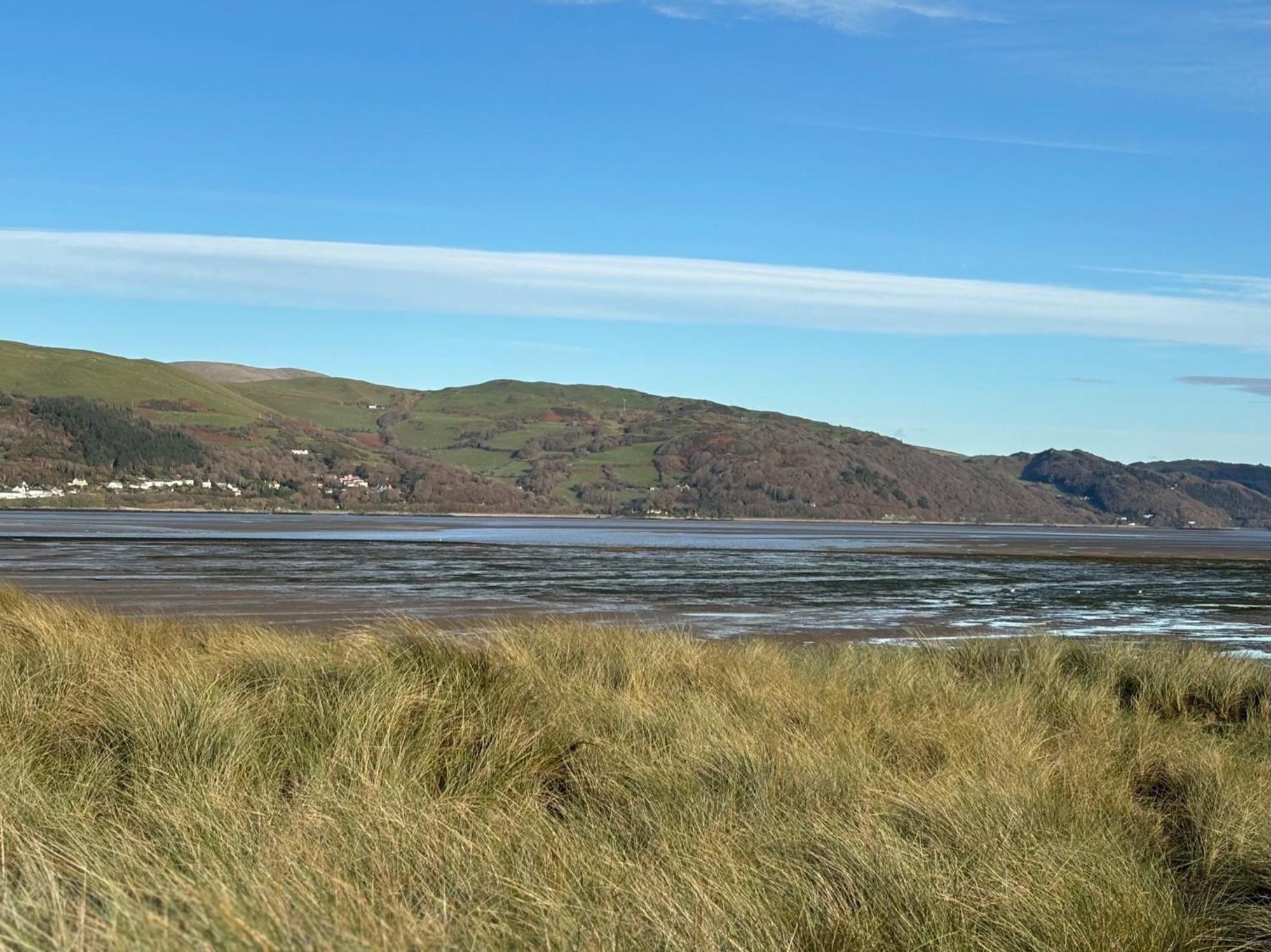 Little Curlew, Ynyslas, * Borth